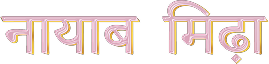 nayab-midha-logo